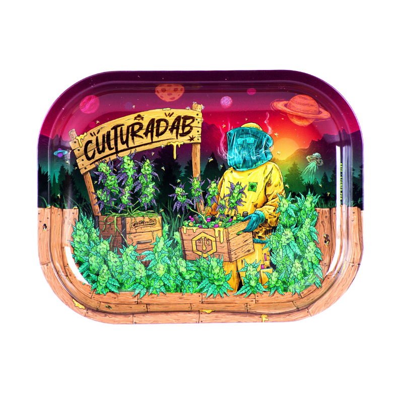 BANDEJA CULTURA DAB PEQUENA