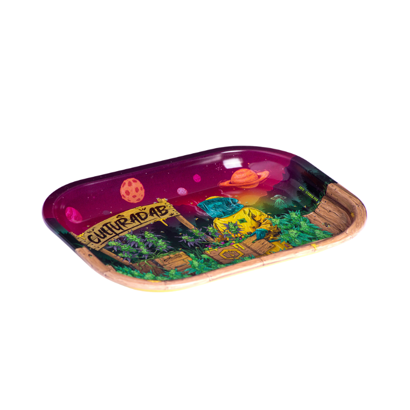BANDEJA CULTURA DAB PEQUENA