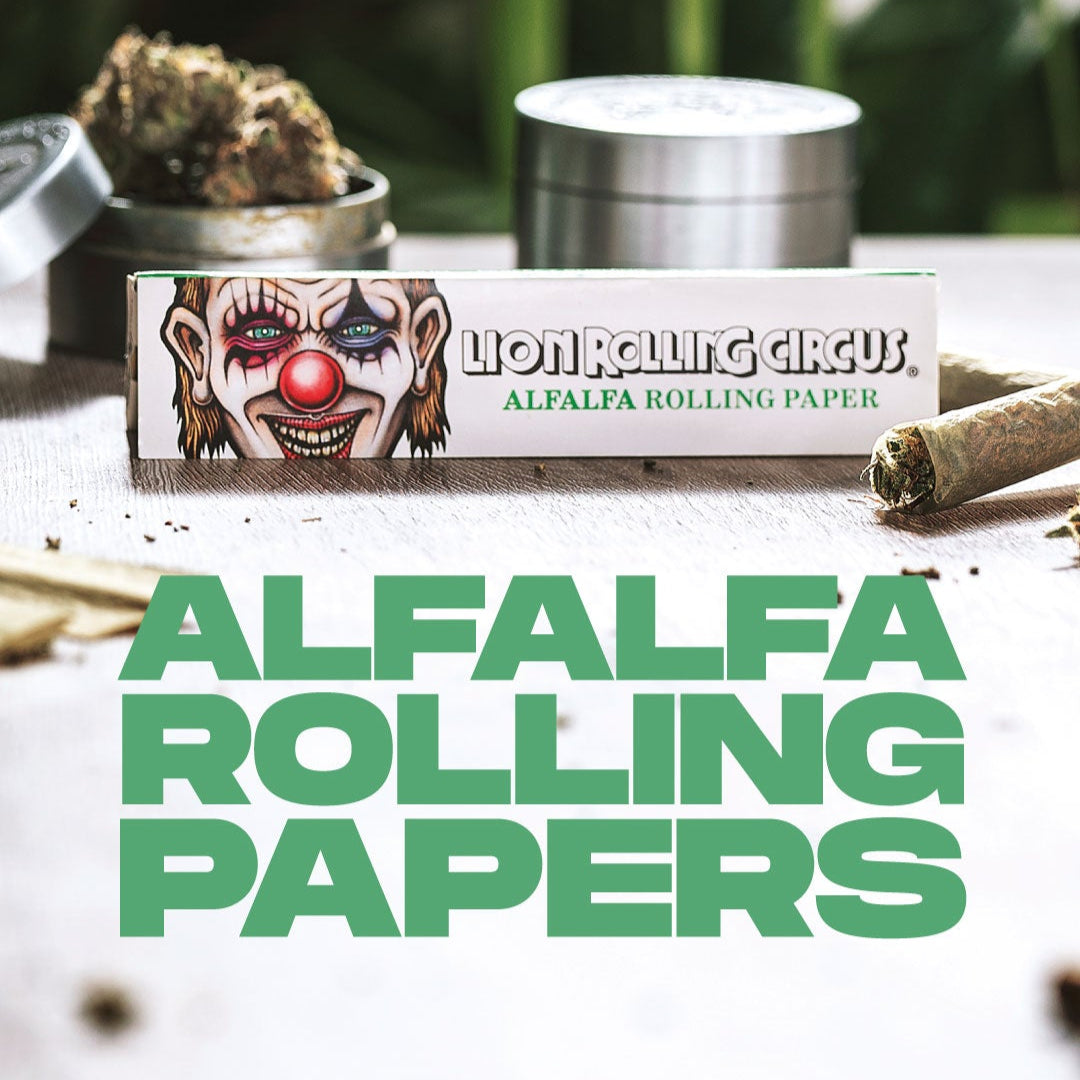 SEDA ALFAFA LION ROLLING CIRCUS KING SIZE