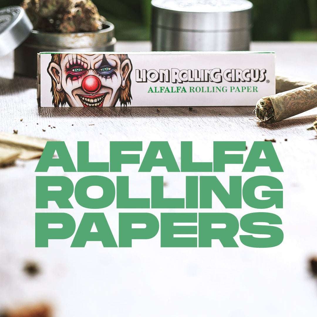 SEDA ALFAFA LION ROLLING CIRCUS REGULAR