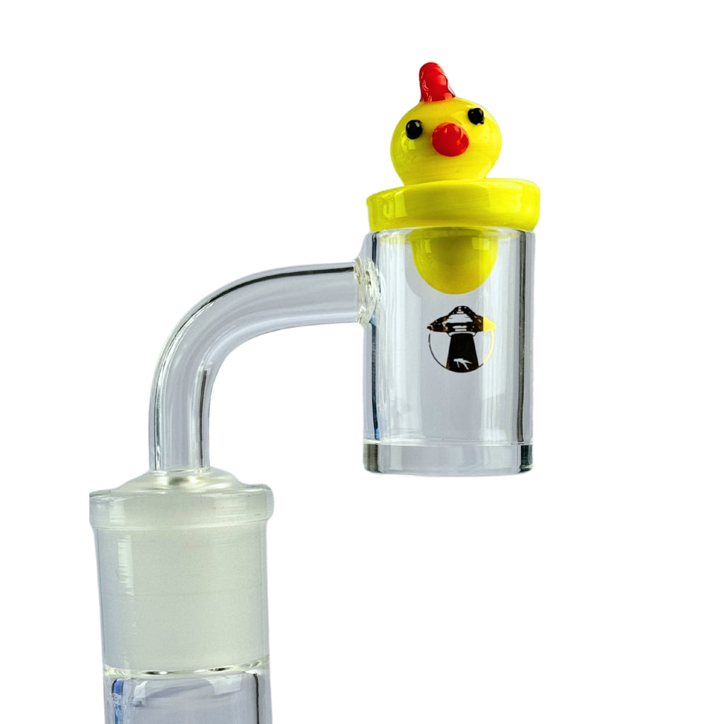 CARB CAP ABDZ GALINHA