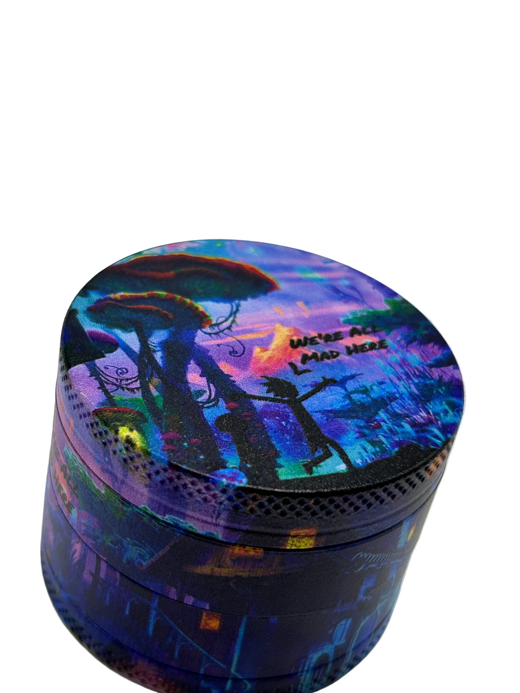 MURRUGADOR ESTAMPADO RICK E MORTY